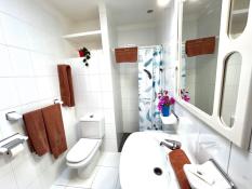 Bathroom with walk-in shower and bidet