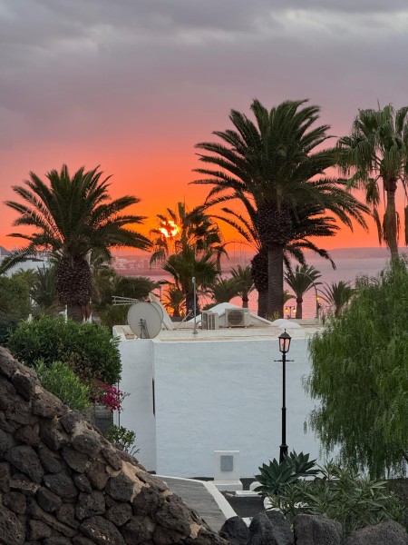 Sunrise from patio 